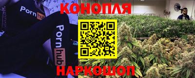 скорость Кунгур