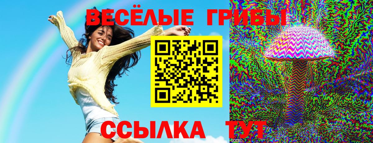 Галлюциногенные грибы Psilocybe  купить   Ипатово  Вход с VPN 